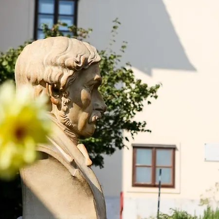 Bed & Breakfast Lenau Haz