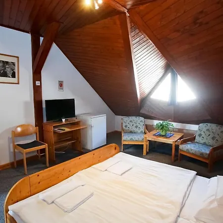 Lenau Haz Bed & Breakfast Pecs